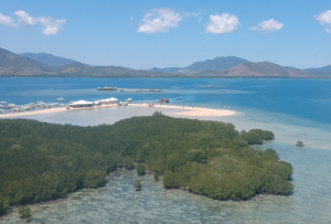 Luli Island in honda bay