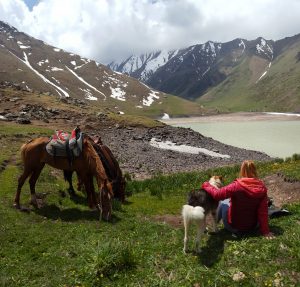 Paarden trekking Kirgizie