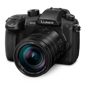 Panasonic Lumix DMC-GH5 + 12-60mm F/2.8-4.0 Leica DG Vario-Elmarit