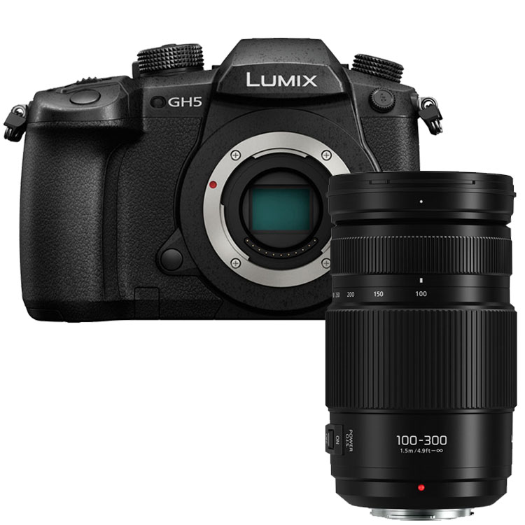 Panasonic Lumix DMC-GH5 + 100-300mm II Panasonic Lumix DMC-GH5 + 100-300mm II