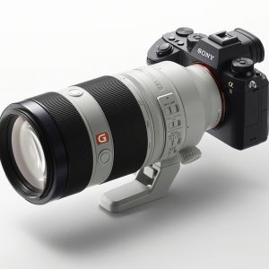 Sony A9 (ILCE-9) + 100-400mm GM OSS