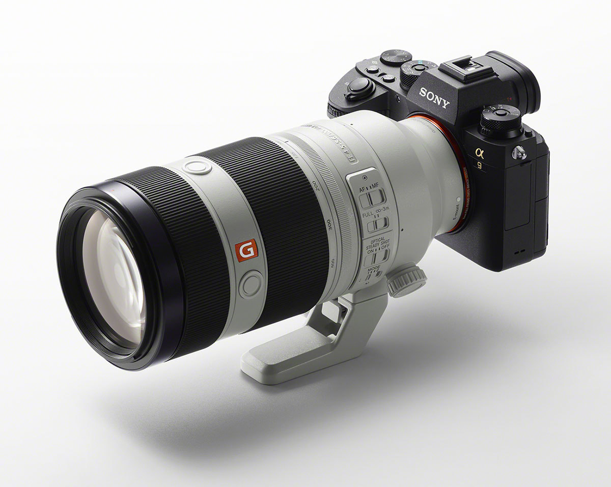 Sony A9 (ILCE-9) + 100-400mm GM OSS Sony A9 (ILCE-9) + 100-400mm GM OSS
