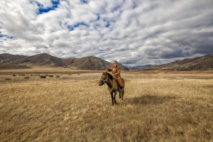 paarden trekking kirgizie